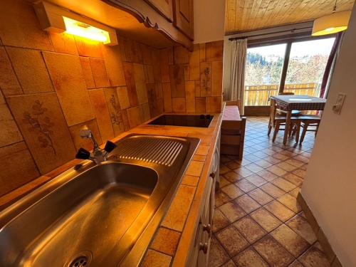 a kitchen with a large stainless steel sink in a room at Studio Ban rouge, Chez Francine in Notre-Dame-de-Bellecombe