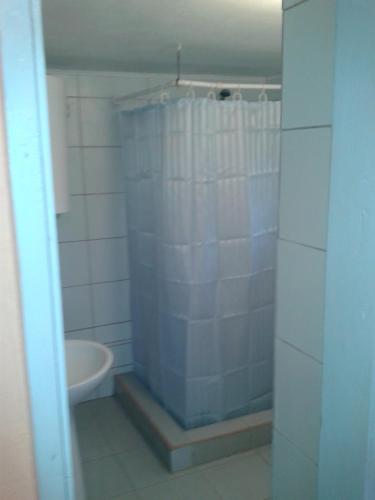 a bathroom with a shower and a toilet in it at Do Vuceljica in Andrijevica