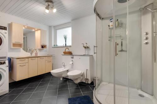 a bathroom with a toilet and a shower and a sink at Feriehus 1149 in Ringkøbing