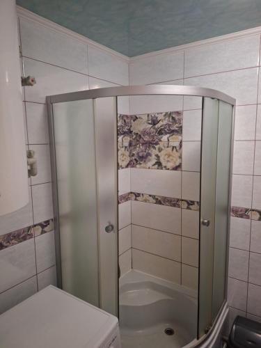 a bathroom with a shower and a toilet at Садиба Сузір'я in Vorokhta