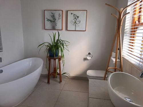 a bathroom with a white tub and a plant at Petit Plaisir Cottage in Franschhoek