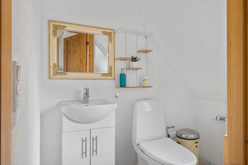 a bathroom with a toilet and a sink and a mirror at SJ214-Fredericia-Lillenaes-71 in Fredericia