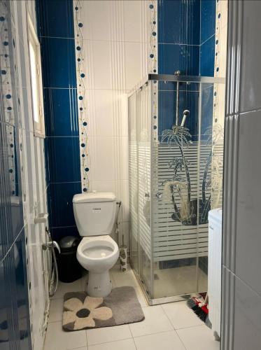 a bathroom with a toilet and a glass shower at Maison pieds dans l'eau in Chebba
