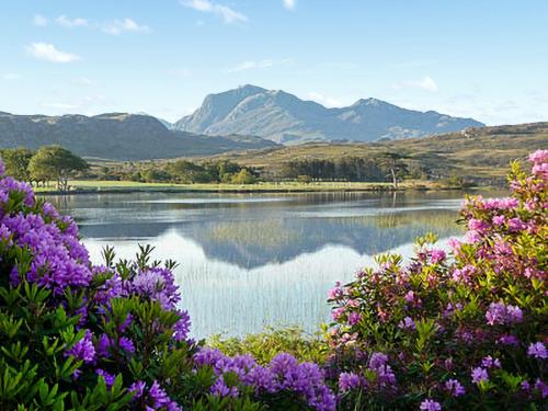 a view of a lake with mountains and purple flowers at The Narrows in Poolewe