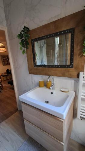 a bathroom with a sink and a mirror at Cas'ArtiGè in Troyes