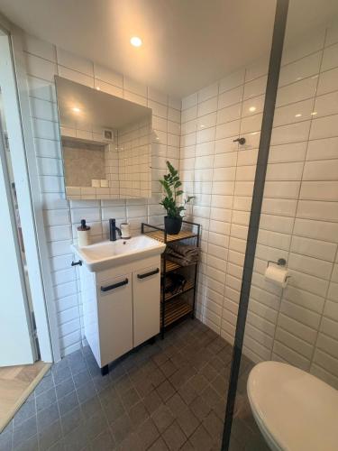 a bathroom with a sink and a mirror and a toilet at Keskväljaku Studio apartment in Võru