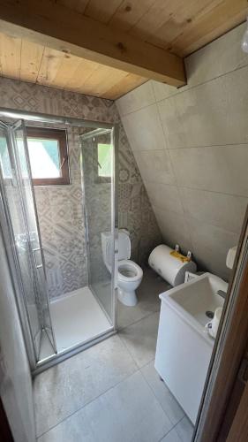 a bathroom with a shower and a toilet and a sink at Nota A Frame in Šakotinac