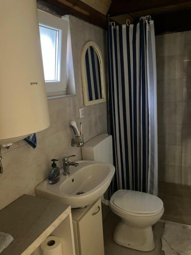 a bathroom with a sink and a toilet and a shower at Stevanova brvnara in Zlatibor