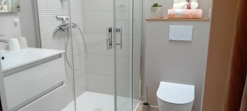 a bathroom with a glass shower and a toilet at L'Etable d'Armand in Névez