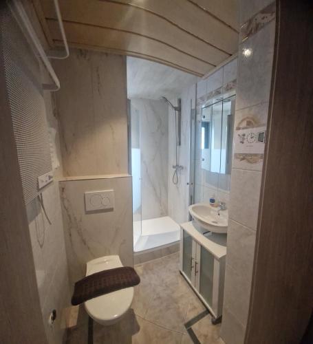 a bathroom with a toilet and a sink at Monteurwohnung 2 Vollumen in Redwitz an der Rodach