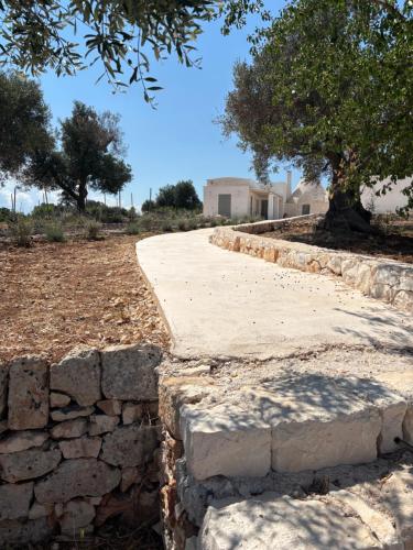 a stone path with a stone wall and a tree at Trullo botanico in Ceglie Messapica