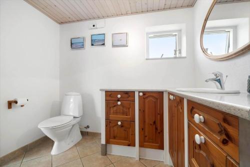 a bathroom with a toilet and a sink and a mirror at SJ290-Hejls-Ae-Skovbryn-2 in Hejls