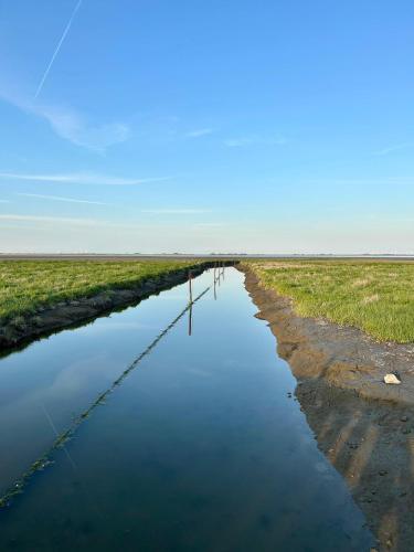 a river in the middle of a field at HaRE Ferienwohnung twee in Langeneß