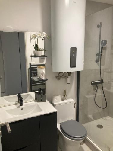 a bathroom with a white sink and a toilet at Le patio de la place in Saint-André-de-Sangonis