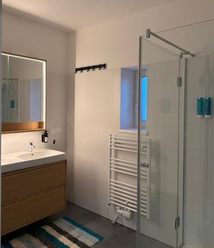 a bathroom with a sink and a shower at Riverside Furth in Furth