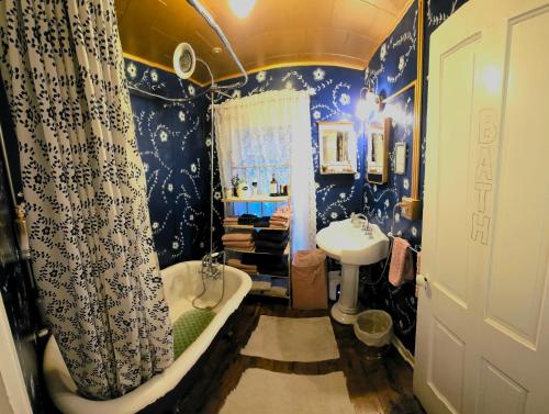 a bathroom with blue walls and a tub and a sink at Historic Windsor in Silver Plume