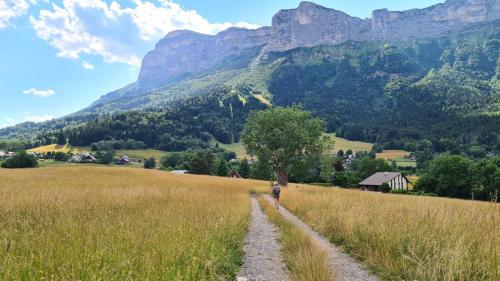 a path through a field with a mountain in the background at Camping Onlycamp Les Petites Roches in Saint-Hilaire