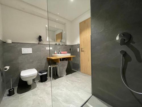 a bathroom with a shower and a toilet and a sink at Apartment Turmfalke in Vogtsburg