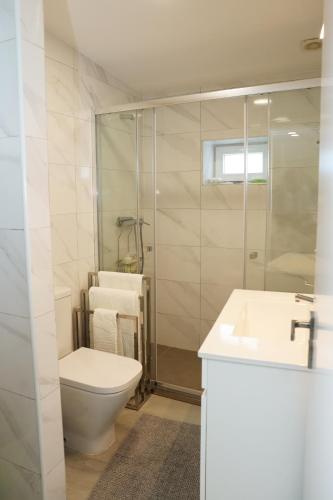 a bathroom with a toilet and a shower and a sink at Retiro Maria Idalina in Amarante