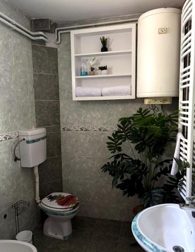 a bathroom with a toilet and a sink at Dubai Apartment I in Veternik