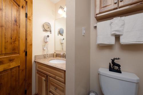 a bathroom with a toilet and a sink at East Rim - Unit C12 in Durango