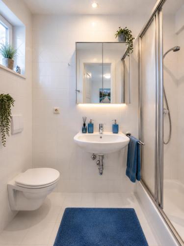 a bathroom with a sink and a toilet and a shower at Seeparadies in Unter Feuchten