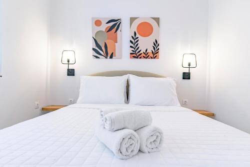 TERRA by TerraSea Homes