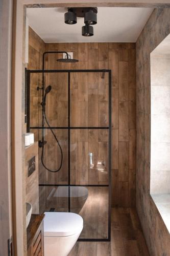 a bathroom with a shower with a toilet and a sink at Apartament Antracytowe Wrota 3 in Boguszów-Gorce