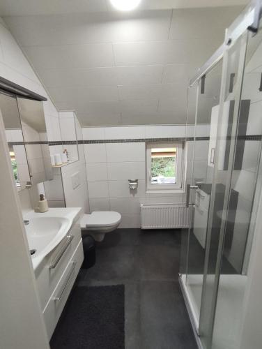 a bathroom with a toilet and a sink and a shower at Alpenhaus Claudia in Radenthein