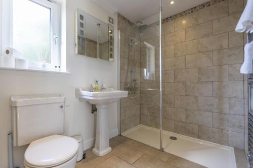 a bathroom with a shower and a toilet and a sink at The Dutch Barn in Stratton Audley