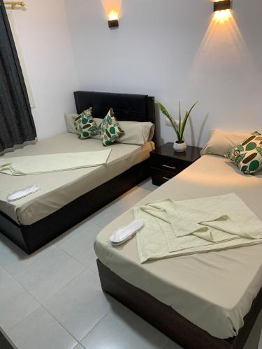 a bedroom with two beds and a plant on a table at Voya Residence Dahab in Dahab