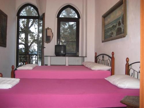 two beds with pink sheets in a room with two windows at Apartments Colic in Herceg-Novi