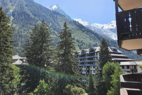 Escape in Chamonix breathtaking view Mont-Blanc