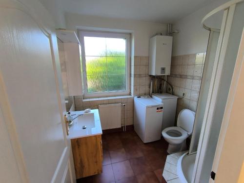 a bathroom with a sink and a toilet and a window at Vila v Podkrušnohoří in Jirkov