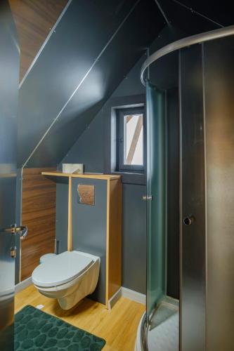 a bathroom with a toilet and a glass shower at Casa ISEHEIA in Sibiel
