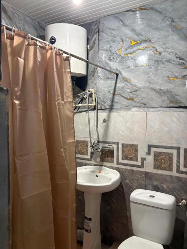 a bathroom with a toilet and a sink at Elasia in Martvili