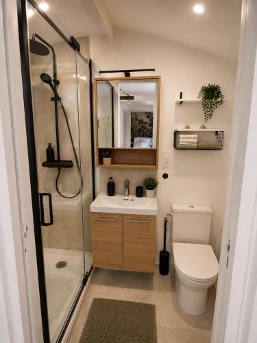 a bathroom with a shower and a toilet and a sink at La Cachette - Studio Nature - Terrasse Privée in Corbeil-Essonnes