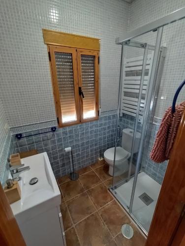 a bathroom with a shower and a sink and a toilet at Casita La Cometa in Ruidera