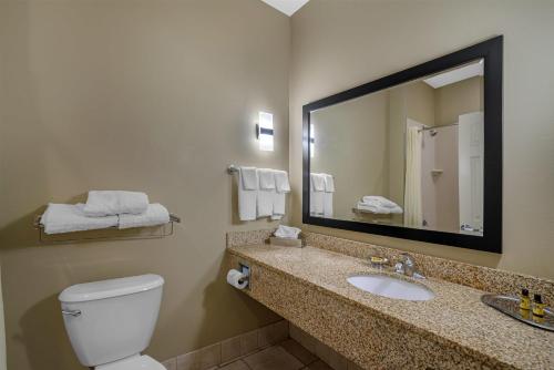 a bathroom with a toilet and a sink and a mirror at Best Western Plus Chalmette Hotel in Chalmette