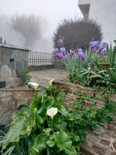 a garden with purple and white flowers and plants at Casa Benaxo Ribeira Sacra in Currelos
