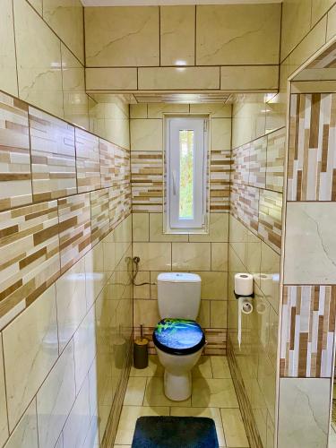 a bathroom with a toilet with a blue seat at Apartmans Lars in Rečica ob Savinji