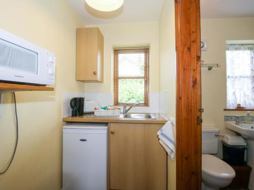 a small kitchen with a sink and a toilet at Apartment 3 in North Lydbury
