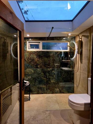 a bathroom with a toilet and a glass shower door at Cabin39 in Barkingside