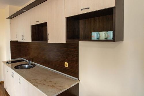 a kitchen with a sink and wooden cabinets at Apart Complex Amphora Palace in Golden Sands