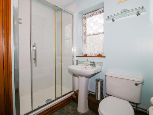 a bathroom with a shower and a toilet and a sink at Apartment 4 in North Lydbury