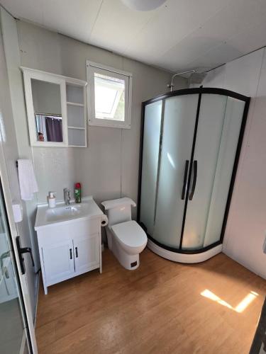 a bathroom with a shower and a toilet and a sink at Casa Abitare Armonía in Isla de Mezcala