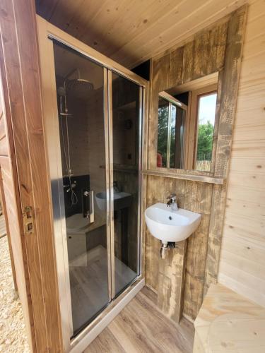 a bathroom with a sink and a shower at Tente Lima in Ambillou-Château