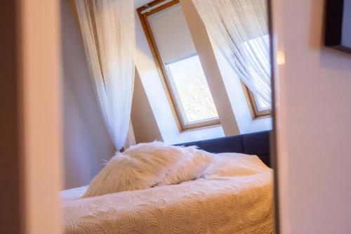 a dog laying on a bed in front of a window at Bright Apartment in Haapsalu in Haapsalu