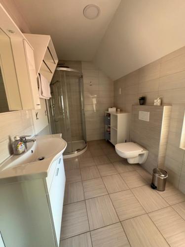 a bathroom with a toilet and a shower and a sink at Apartmaji Tomšič in Mojstrana