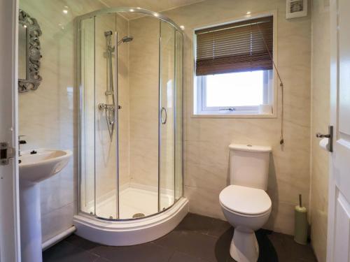 a bathroom with a shower and a toilet and a sink at The Roe in St Asaph
